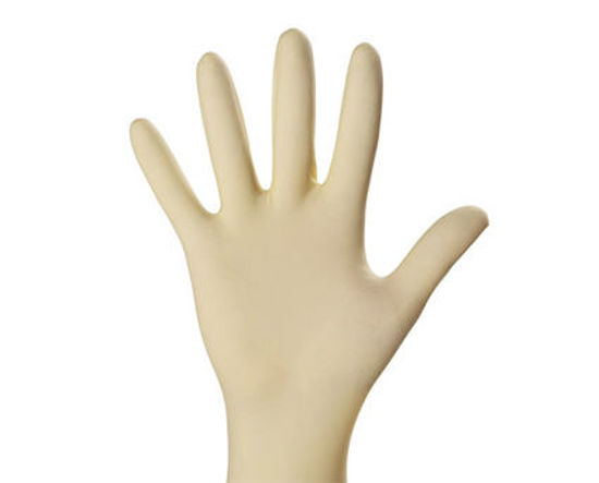Ecosolvent Resistant Latex Gloves (10 pairs)