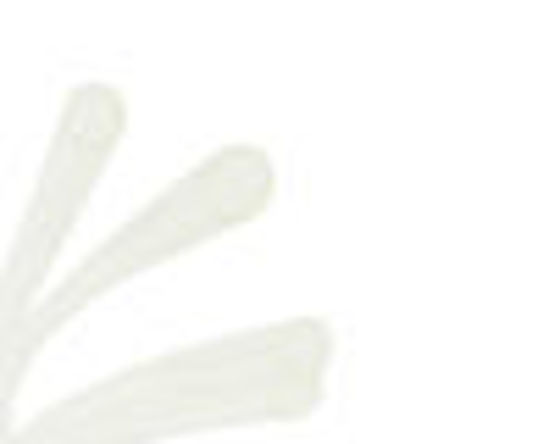 VP-300 Tube, Sj-Rdg3*4 4Link - 1000002670