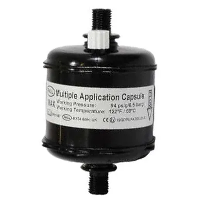 Pall Capsule Filter MACCA1007 (10 µm)